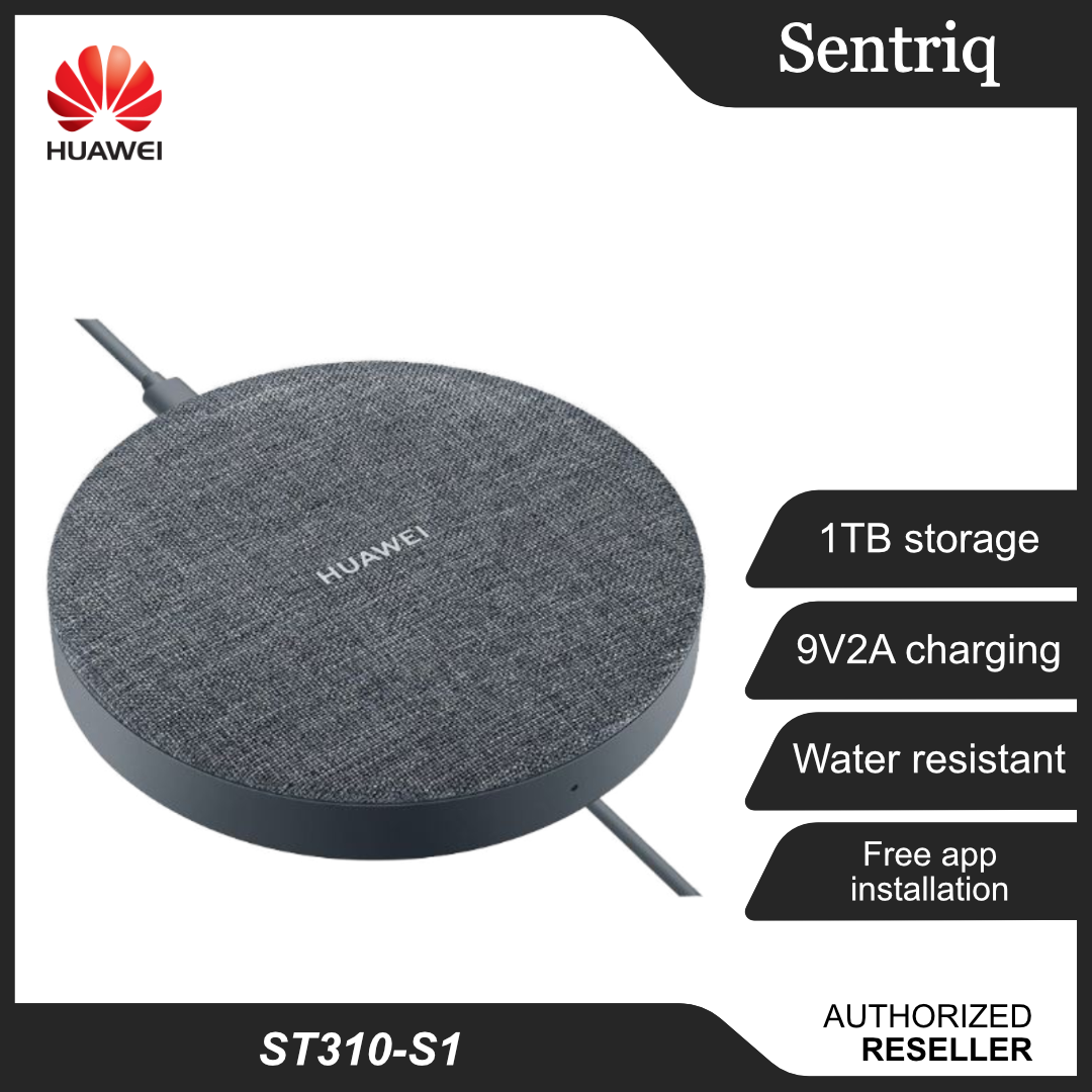 Huawei Backup Storage ST310S1 (1TB) Grey Colour (Original)